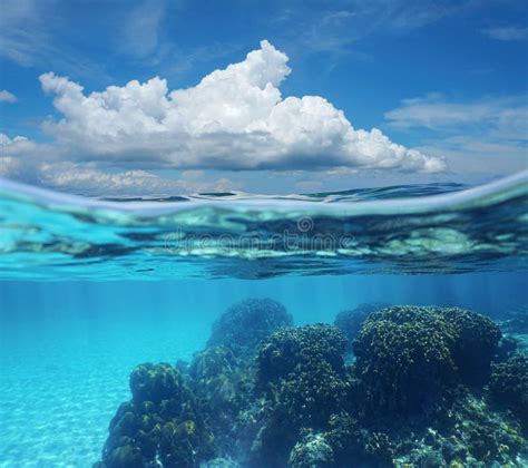 Nube Y Arrecife De Coral Del Cielo De La Imagen Partida Subacu Ticos