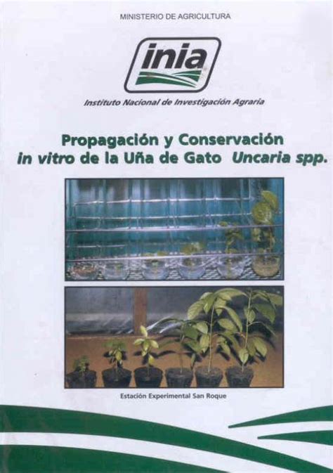 PDF Propagación y conservación in vitro de la uña de gatorepositorio