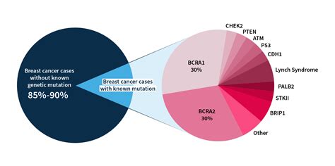 Hereditary Cancers Sophia Genetics