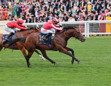 Australians Flounder In Kings Stand As Bradsell Earns Back To Back