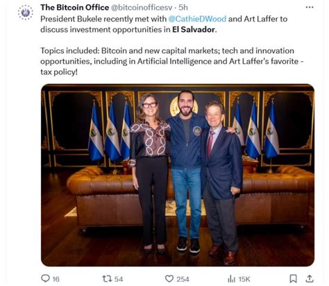 El Salvadors Bitcoin AI Plans Could Boost GDP Tenfold By 2029 Cathie