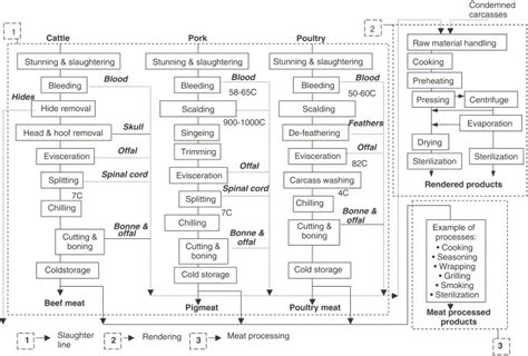 Diagram Shows Process Meat And Unprocess Meat Makanan Pen