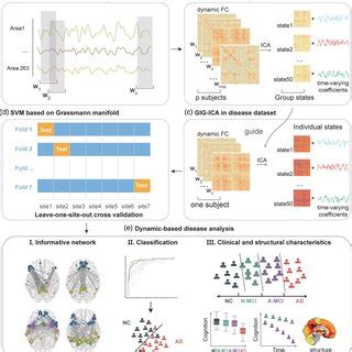 Informative ICSs And Functional Annotation A Schematic Of The