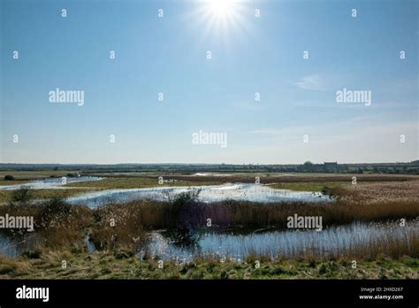 Wetland Marshes Holkham National Nature Reserve Stock Photo Alamy