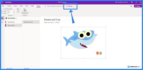 How To Rotate And Crop A Picture In Onenote Free Premium Templates