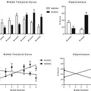 A H RNAscope In Situ Hybridization Of Control And AD Brain Samples With