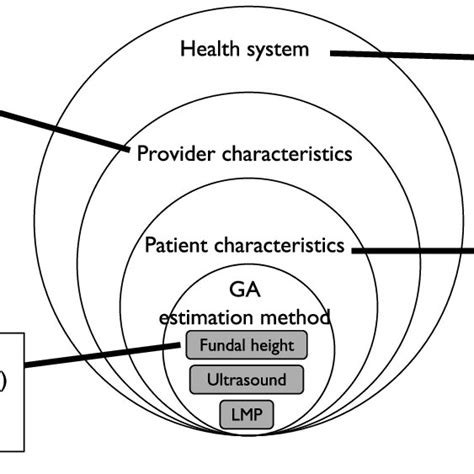 Factors Influencing Gestational Age Estimation Documentation And Use