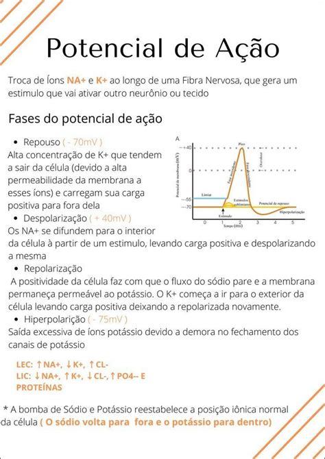 Mapas Mentais Sobre Potencial De A O Study Maps