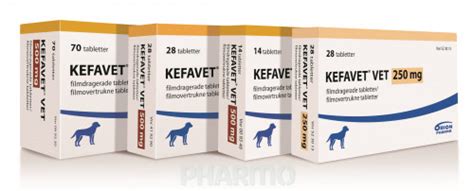 Kefavet Vet Mg Stk Blister Pharmo