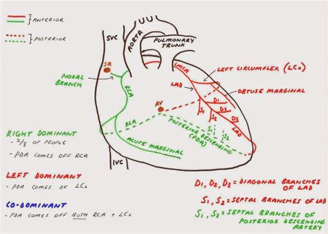 This Is The Second Post From The ‘hunting The Culprit Series An