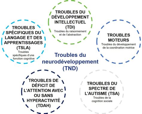 Les Maladies rares du neurodéveloppement Défiscience