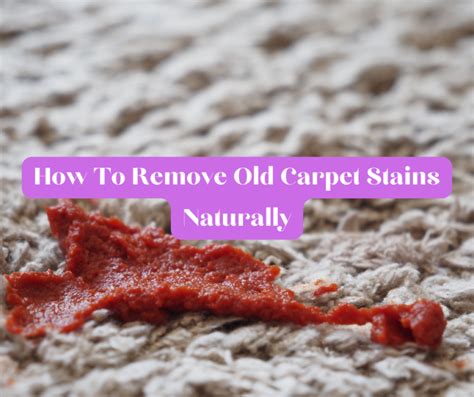 The Ultimate Guide On How To Remove Carpet Stains Best Hacks Carpet