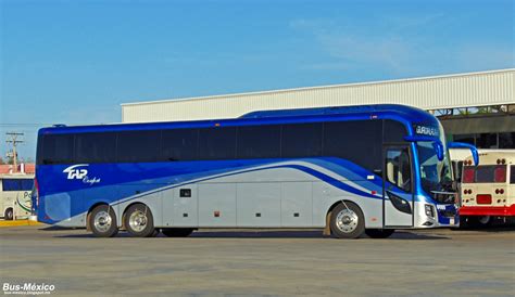 Transportes Y Autobuses Del Pac Fico Tap Confort Bus M Xico