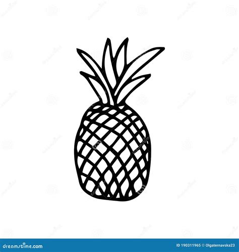 Pineapple Line Icon Trendy Tropical Element Vector Graphics Isolated Stock Vector