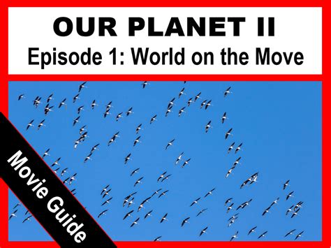 Our Planet Movie Guide Bundle Netflix Series All Episodes