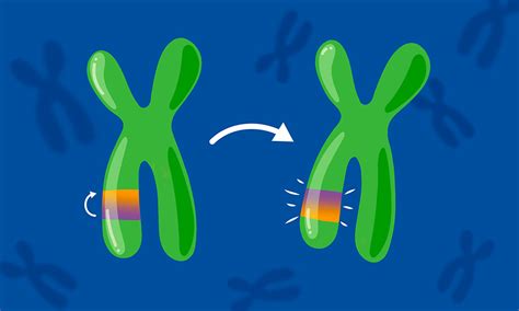 Flip-flop genome | EMBL