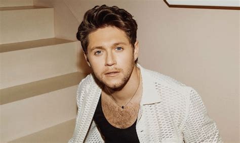 Niall Horan Goes Into Meltdown On Cathartic New Single