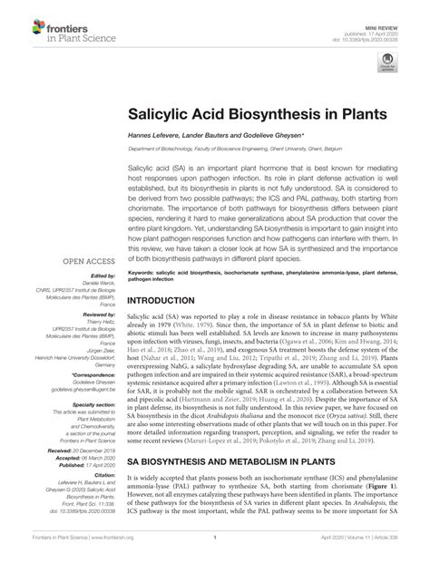 salicylic acid biosynthesis  plants