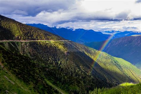 山谷附近的山地风林树木和山坡上多彩的森林高清图片下载 正版图片507314409 摄图网