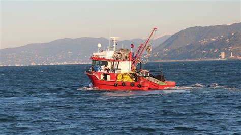 Karadeniz in soğumayan suyu endüstriyel balıkçılığı olumsuz etkiliyor