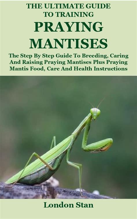 The Ultimate Guide To Training Praying Mantises The Step By Step Guide To Breeding Caring And