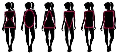 shape stylist whats  shape