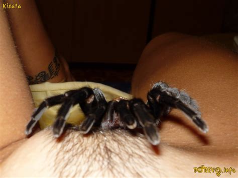 Amateur Pics 9835 IMG 192 Porn Pic