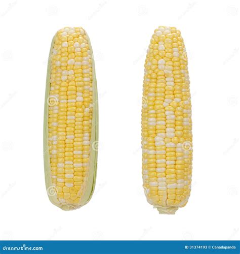 Corns Stock Image Image Of Grain Health Agriculture 31374193