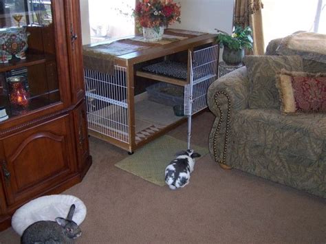 Indoor Cages - Rabbits Indoors | Indoor rabbit, Indoor rabbit cage, Diy ...