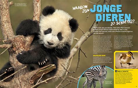 Deze Maand In National Geographic Junior National Geographic Junior