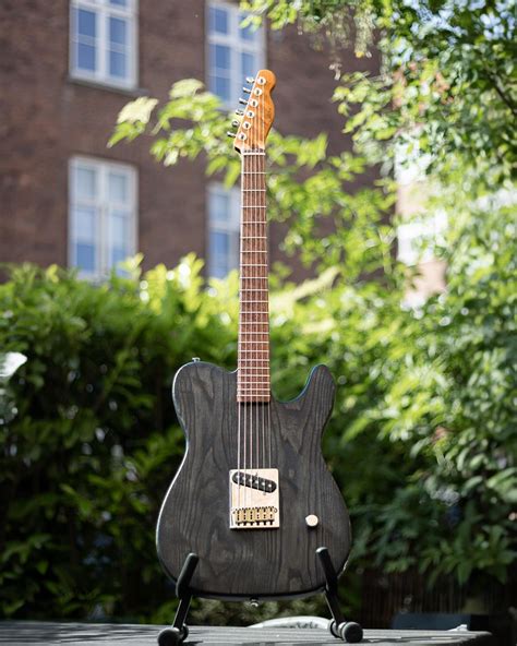 Help With Fretboard Wood Identification Rluthier