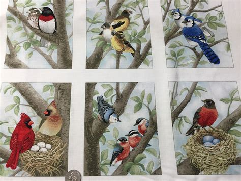 Fabric Birds And Nests Quilt Panel 12 Squares 4 12 X 6 21 X 22