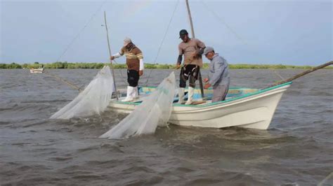 Está muy chico Pescadores de Navolato y Eldorado aplazan 6 días