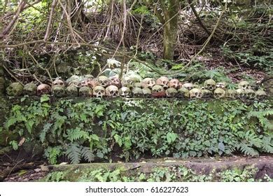 Skulls Kuburan Terunyan Cemetery Trunyan Village Stock Photo Edit Now