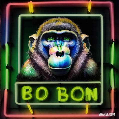 Baboon. What is the life cycle and lifespan of Baboon? Its reproduction and life cycle.