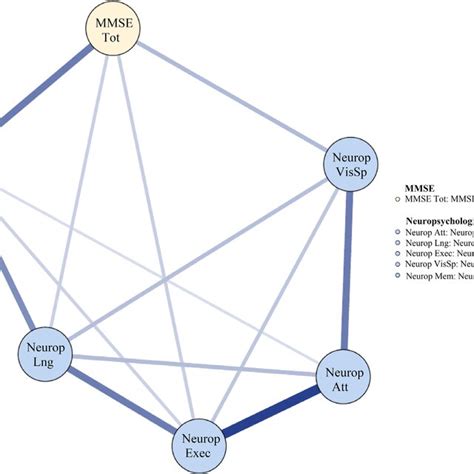 Exploratory Network Of Neuropsychological Domains And The Total MMSE At