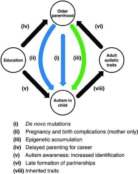 2 Schematic Of Possible Explanatory Pathways For Association