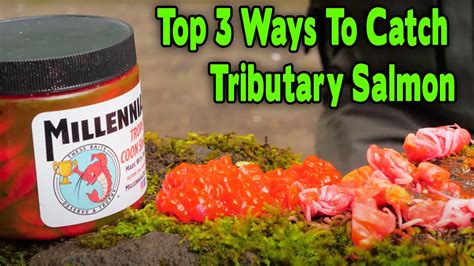 Best 3 Tactics For Catching Salmon In Smaller Creeks And Rivers