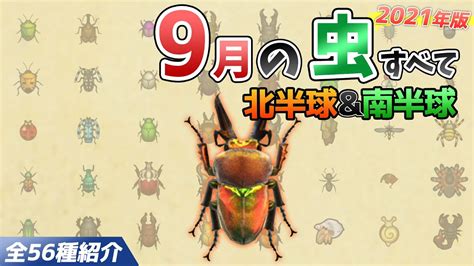 【あつ森】9月に捕れる虫を全て紹介！出現場所や時間、値段、雨など特殊条件についても徹底解説！サソリやゴライアス、ニジイロクワガタなどレア虫が