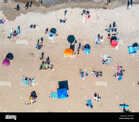 Topdown Aerial View Of People Relaxing On The Sand In Virginia Beach