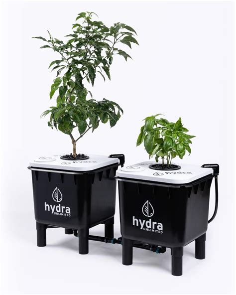 Amazon Hydramax Home Deep Water Culture Hydroponic System With