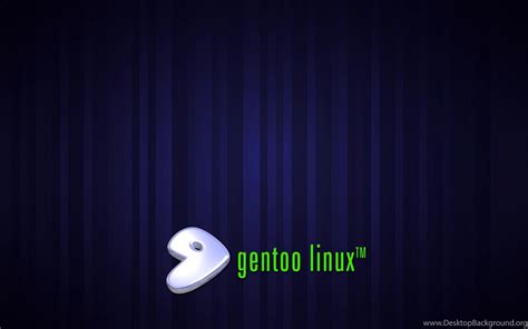 Gentoo Wallpapers Top Free Gentoo Backgrounds Wallpaperaccess