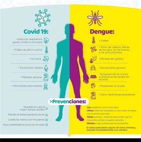 Dengue In The Covid Epidemic Q Costa Rica