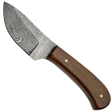 Explore True Damascus Fixed Knife Wsheath
