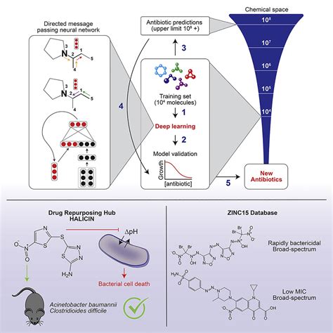 A Deep Learning Approach To Antibiotic Discovery Cell