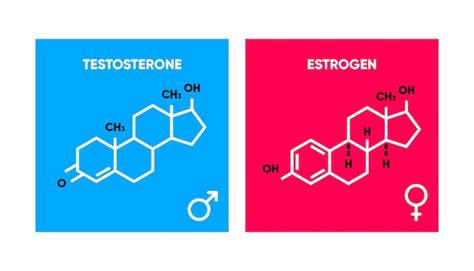 Símbolo De Estrogênio E Testosterona Logotipos De Fórmula Esquelética