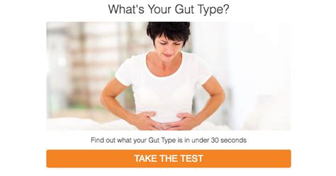 Discover Your Gut Type Ultimate Lifespan