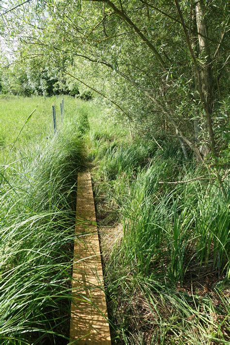 Der Wildnispfad In Wildshut Allee At Landschaftsarchitekten Gmbh