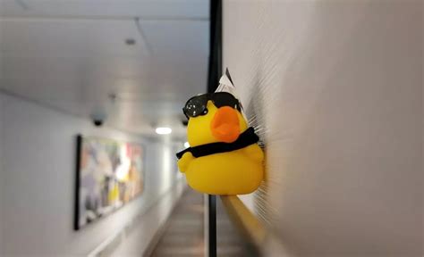 Why Are People Hiding Ducks On Cruise Ships And How You Can Join In The Fun