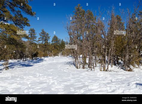 Oak Creek Canyon Overlook Stock Photo Alamy